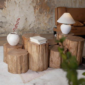 Natural Log Stump Stool & Organic Side Table