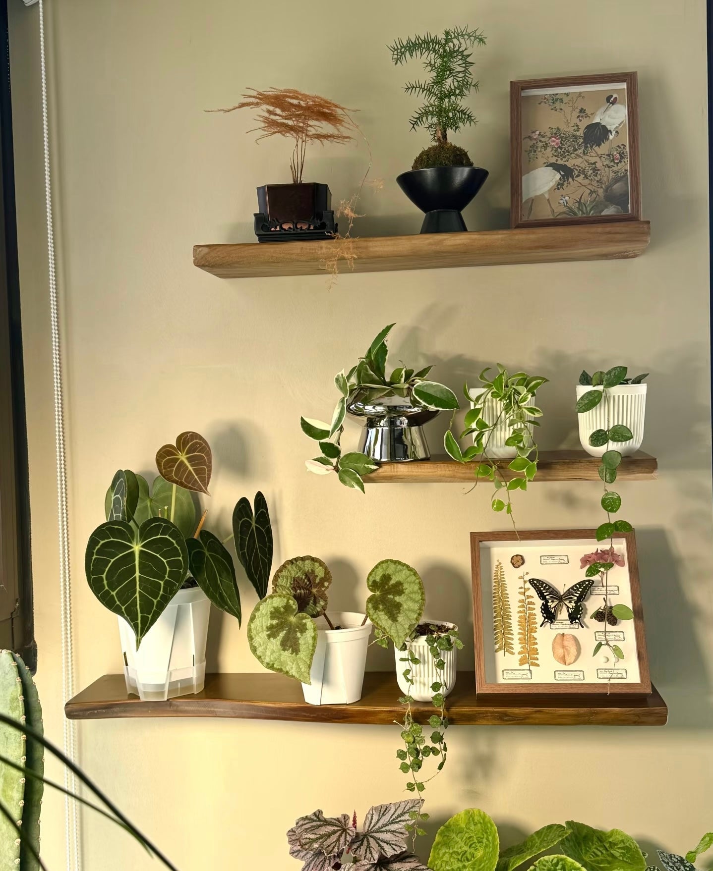 Live Edge Floating Wood Shelf – Rustic Natural Solid Wood Wall Shelf