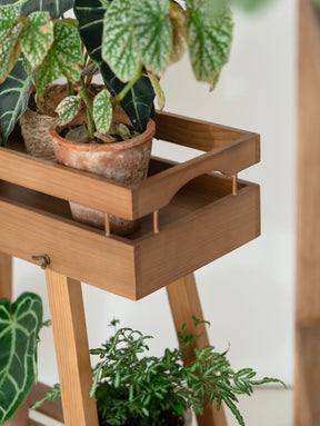 Japandi 2-Tier Solid Wood Plant Stand – Minimalist Indoor Garden Console Wooden Plant Stand – Tray Top Console & Display Shelf